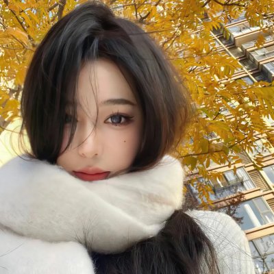 狮子王3